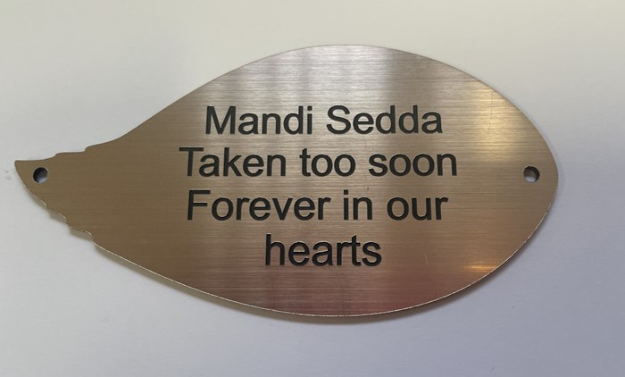 Mandi Sedda
