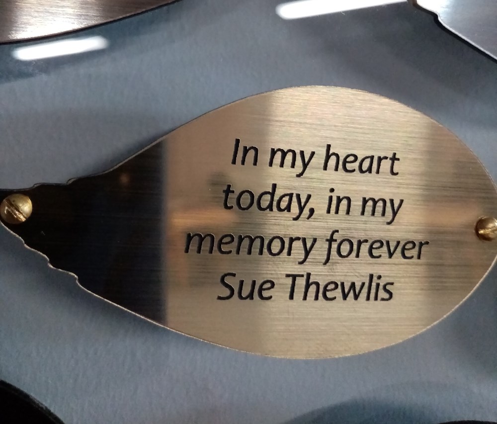 Sue Thewlis