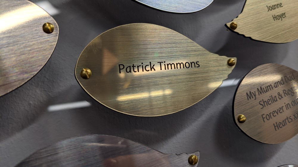 Patrick Timmons