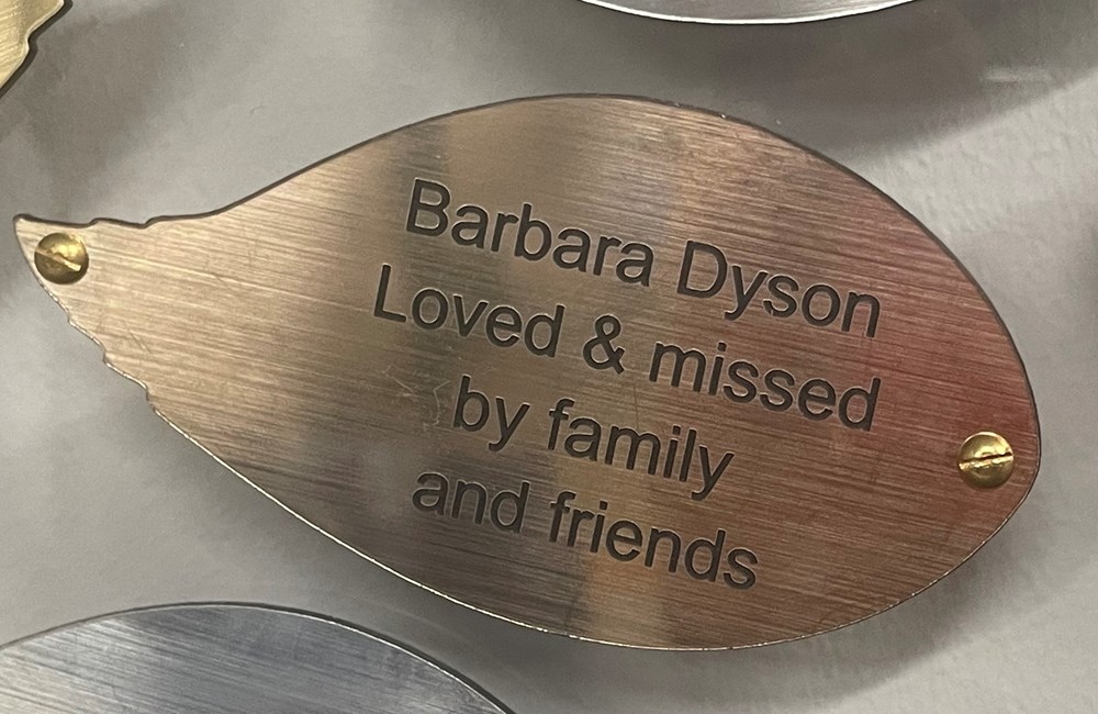 Barbara Dyson