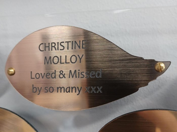 Christine Molloy