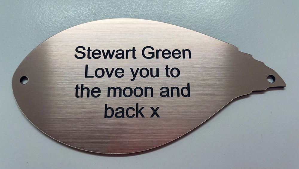 Stewart Green